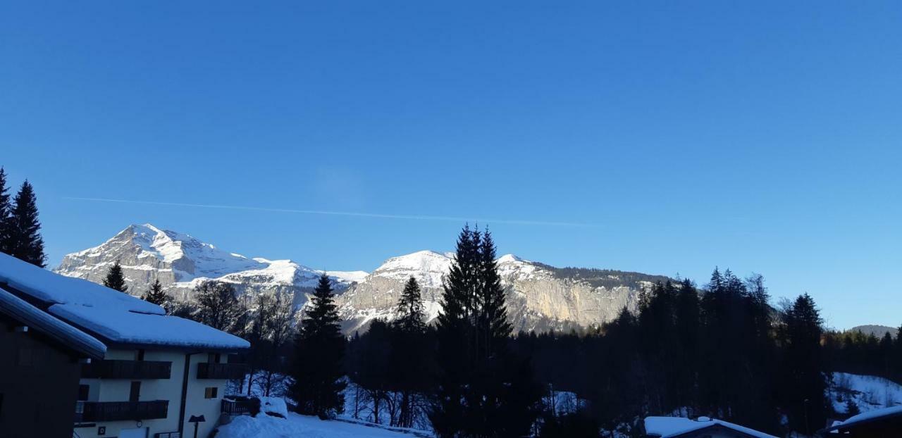 Grand Studio Les Carroz d'Araches Kültér fotó