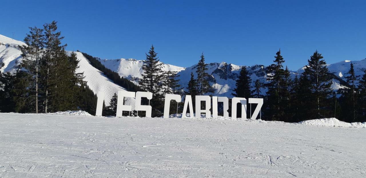 Grand Studio Les Carroz d'Araches Kültér fotó